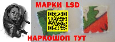 дмт Будённовск