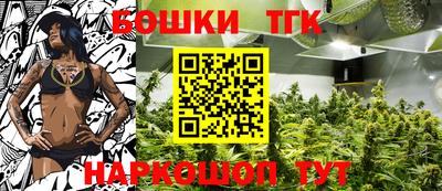 дмт Будённовск