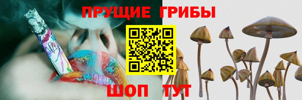 Псилоцибиновые грибы мицелий Ахтубинск